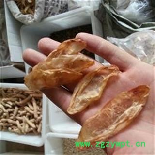 鱼鳔 统货 小个鱼鳔 产地 海南省三亚市图3