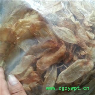 鱼鳔 统货 小个鱼鳔 产地 海南省三亚市图2