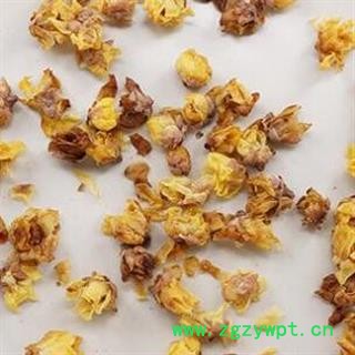 腊梅花选货 产地山东省 批发腊梅花安国市场批发零售大全图2