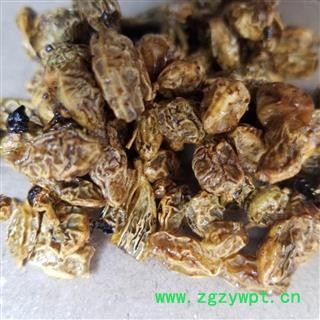 瑞森药材行栀子花  薝下花 山栀花 白蟾花 雀舌花 玉瓯花 玉荷花图4