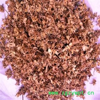 瑞森药材行栀子花  薝下花 山栀花 白蟾花 雀舌花 玉瓯花 玉荷花图3