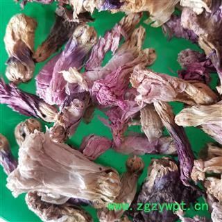 蜀季花  别称-蜀葵花 一丈红 大蜀季 戎葵 吴葵 卫足葵 胡葵 斗蓬花 秫秸图3