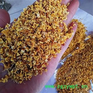 瑞森药材行新货 桂花 实物拍照图2