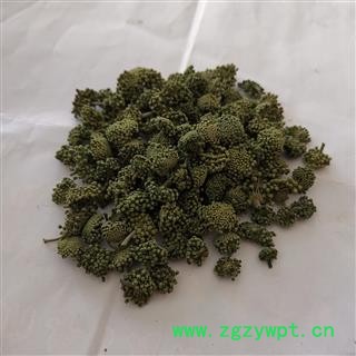 瑞森药材行三七花三年花颜色好味道纯咨询电话15033254281图4