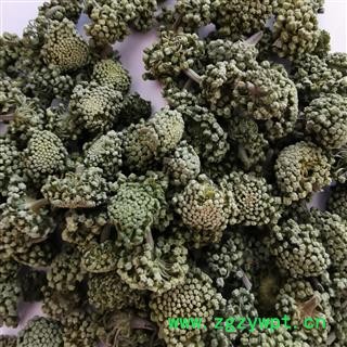 瑞森药材行三七花三年花颜色好味道纯咨询电话15033254281图2