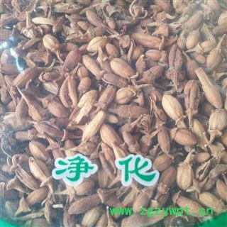 诺源药材行精选花茶 佛手花  佛柑花图3