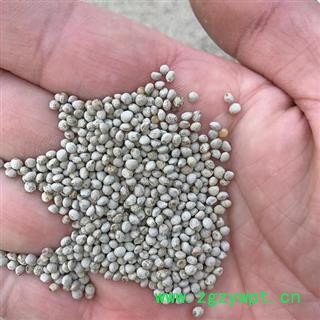 白苏子 正品保证质量7天无理由退货退款 安品堂图4