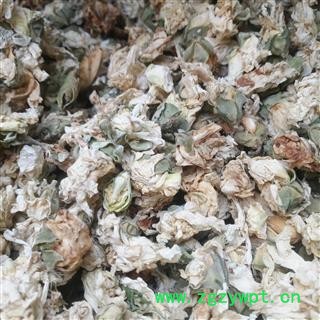 诺源药材行木槿花 灯盏花 白木槿花图3