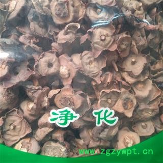 诺源药材行中药材柿蒂 柿钱 柿丁 柿子蒂 柿萼 柿子把图3