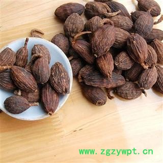 草果正品保证质量7天无理由退货退款 中药材批发 丽丽药业图2