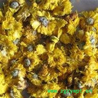 诺源药材行正品金菊 黄金菊  优质新货图2