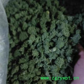 安祁名药优质三年生三七花  田七花新货优质图4