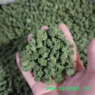 安祁名药优质三年生三七花  田七花新货优质图2