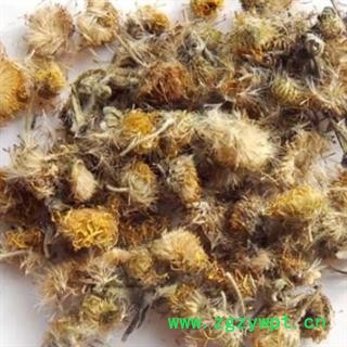 安祁名药旋复花  旋覆花图2