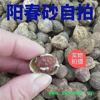 阳春砂仁 去壳阳春砂仁 正品阳春砂仁质量保证7天无理由退货退款 中药材批发 丽丽药业图2