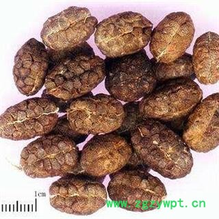 阳春砂仁 去壳阳春砂仁 正品阳春砂仁质量保证7天无理由退货退款 中药材批发 丽丽药业图3