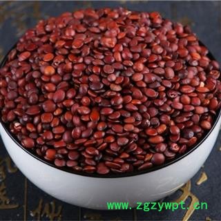 炒酸枣仁 炒国产酸枣仁 正品保证质量7天无理由退货退款 安品堂图4