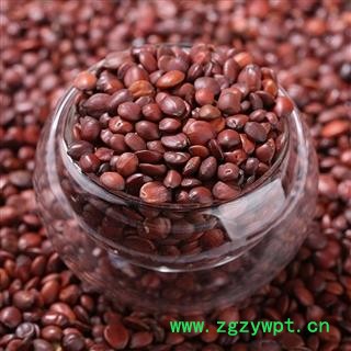 炒酸枣仁 炒国产酸枣仁 正品保证质量7天无理由退货退款 安品堂图2