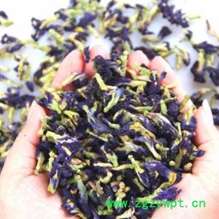 安祁名药精品花茶 蝴蝶花 蓝蝴蝶 蝶豆花图2