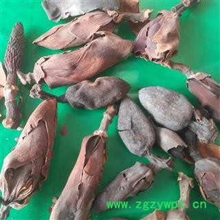 安祁名药正品厚朴花  无硫花茶 川朴花 调羹花图4