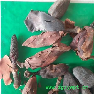 安祁名药正品厚朴花  无硫花茶 川朴花 调羹花图3