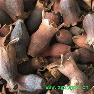 安祁名药精品石榴花  酸石榴花图3