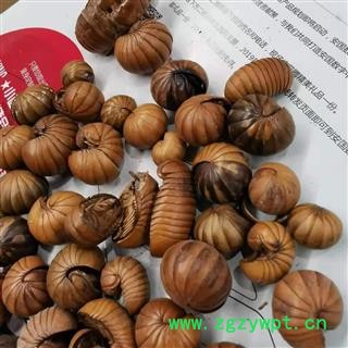 瑞森药材行 中药材 滚山珠 滚山虫 地罗汉 非鼠妇虫图2