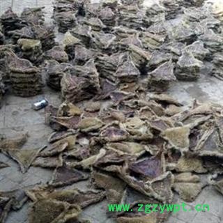 诺源药材行中药材正品刺猬皮   刺猬针 刺猬骨图3