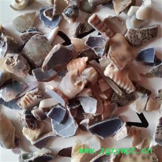 诺源药材行中药材贝齿 紫贝齿 白贝齿 规格齐全图2