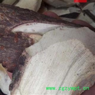 诺源中药材正品五倍子 五倍子根  盐肤木图2