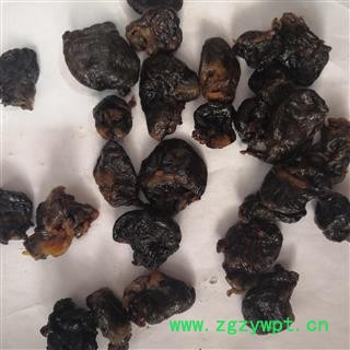 诺源药材行中药材蒙药兔心 清水兔子心 另有猫胎衣图2