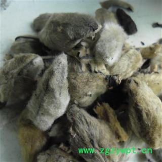 辛夷花 统 产地 河南省南阳市市辖区图3