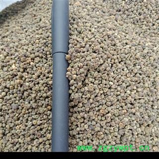 吴茱萸小花正品保证实图拍照 中药材批发丽丽药业图3