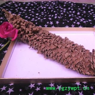 铁树公花 选货 产地 四川省成都市双流县图3