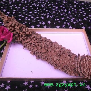 铁树公花 选货 产地 四川省成都市双流县图2