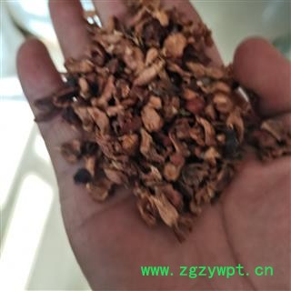 柏树果 正品保证质量7天无理由退货退款 安品堂图4