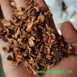 柏树果 正品保证质量7天无理由退货退款 安品堂图3