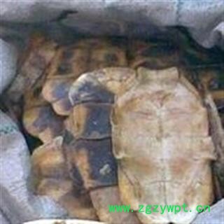 诺源药材行优质龟板  龟壳 旱龟板图3