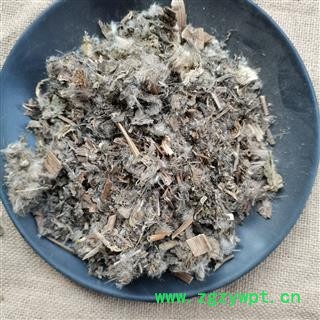 水飞蓟草 水飞蓟 奶蓟草、老鼠筋、水飞雉、奶蓟 华安堂图3