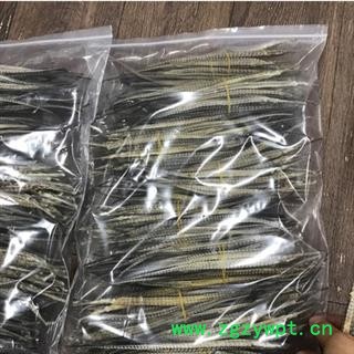 诺源药材行优质海龙 选条 产地 广东图2