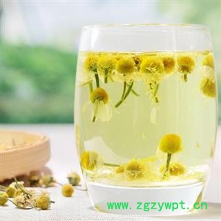 秦岭野生洋甘菊 山民自捋 手工去杂 日晒无硫1000g图3