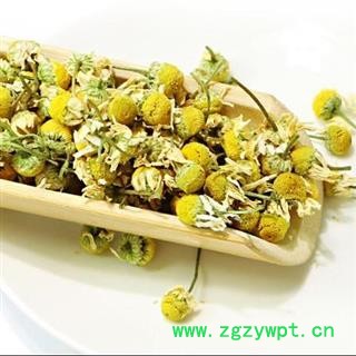 秦岭野生洋甘菊 山民自捋 手工去杂 日晒无硫1000g图2