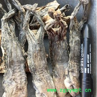 诺源药材行中药材蟾蜍 干蟾蜍 蟾蜍块图2
