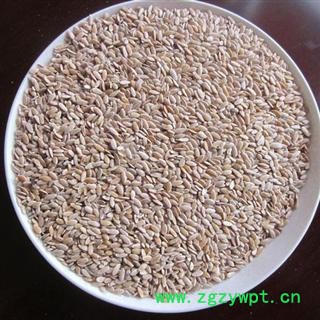 甜瓜子 正品保证质量7天无理由退货退款 安品堂图2