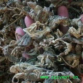 诺源药材行中药材蜥蜴 麻蜥蜴 马蛇子  四脚蛇图3