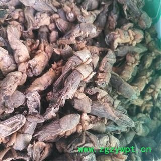 诺源药材行中药材 蝼蛄 土狗子 实物拍摄图3