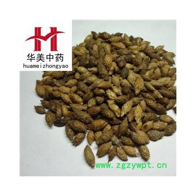 炒苍耳子 统货 产地 内蒙 华美中药 产地直销 重在品质