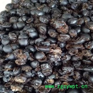 安祁名药正品大将军 蜣螂 小清水图2