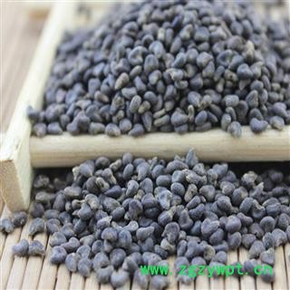 冬葵子 冬葵果 冬葵果净货 产地 山东 华美中药 产地直销 重在品质图3