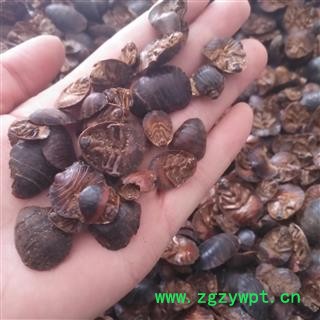 安祁名药土元 水洗新货图2